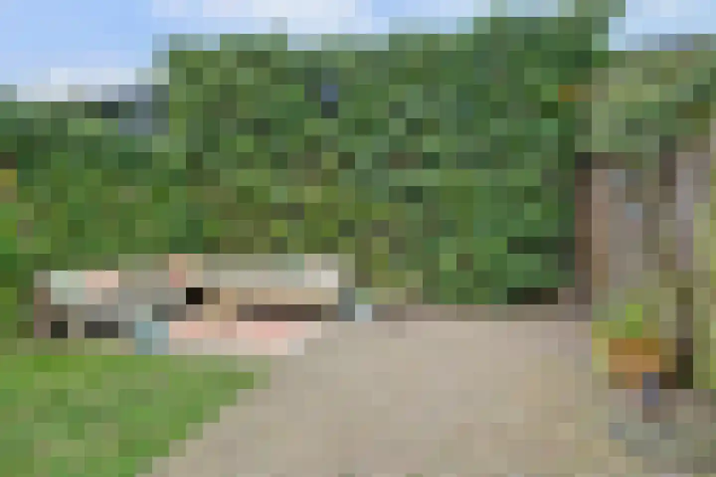 Pastoor Boelenslaan 6 De Meern thumbnail 20