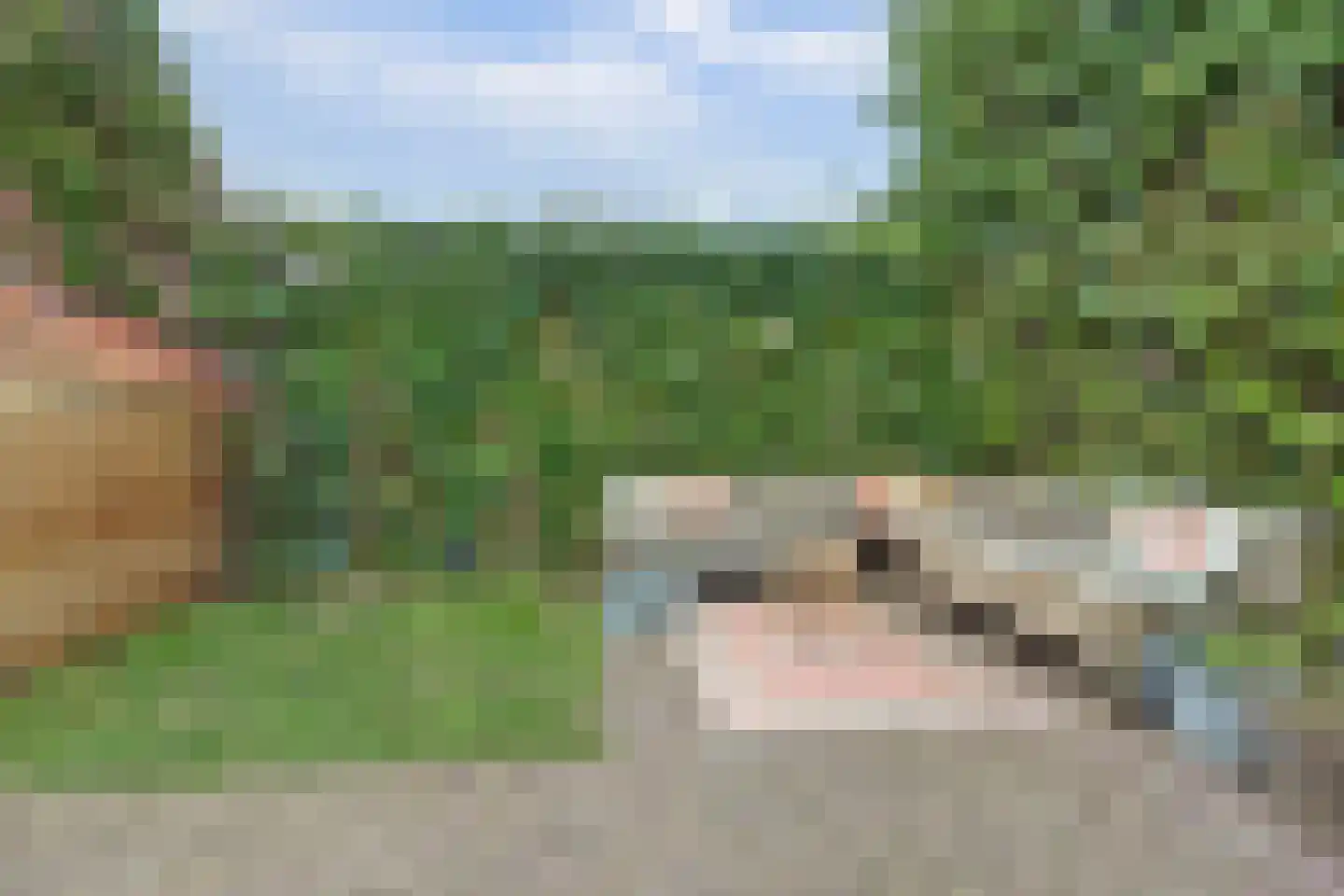 Pastoor Boelenslaan 6 De Meern thumbnail 21