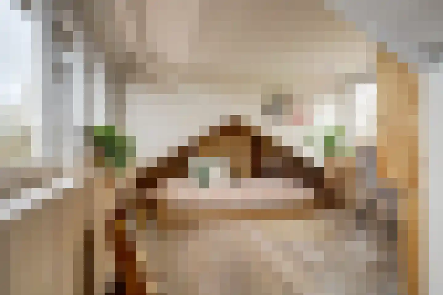 Pastoor Boelenslaan 6 De Meern thumbnail 40