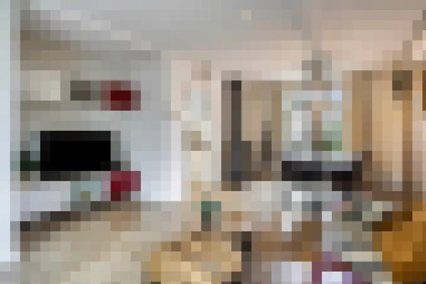 Pastoor Boelensstraat 10 Heesch thumbnail 10