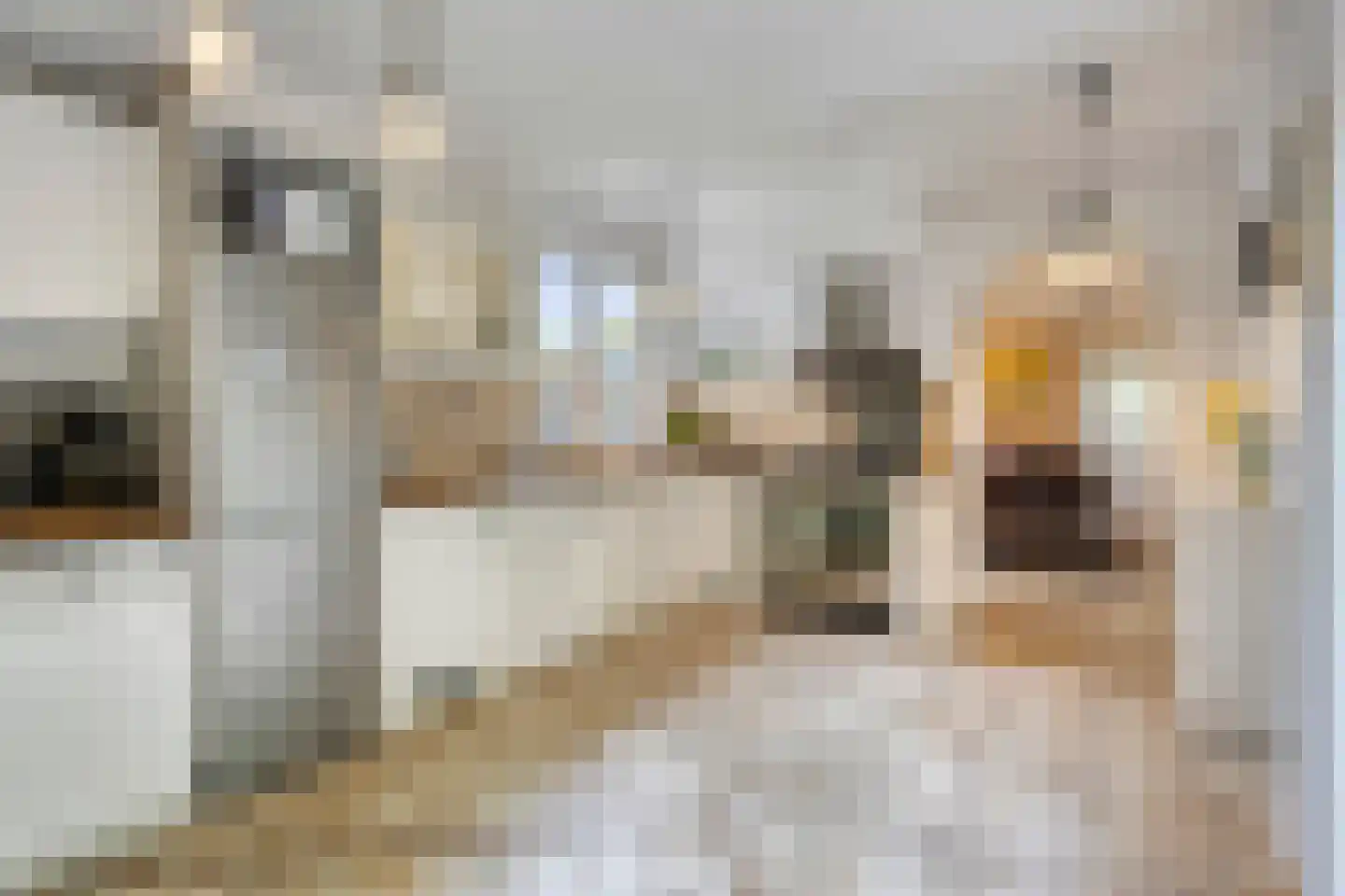 Pastoor Boelensstraat 10 Heesch thumbnail 14