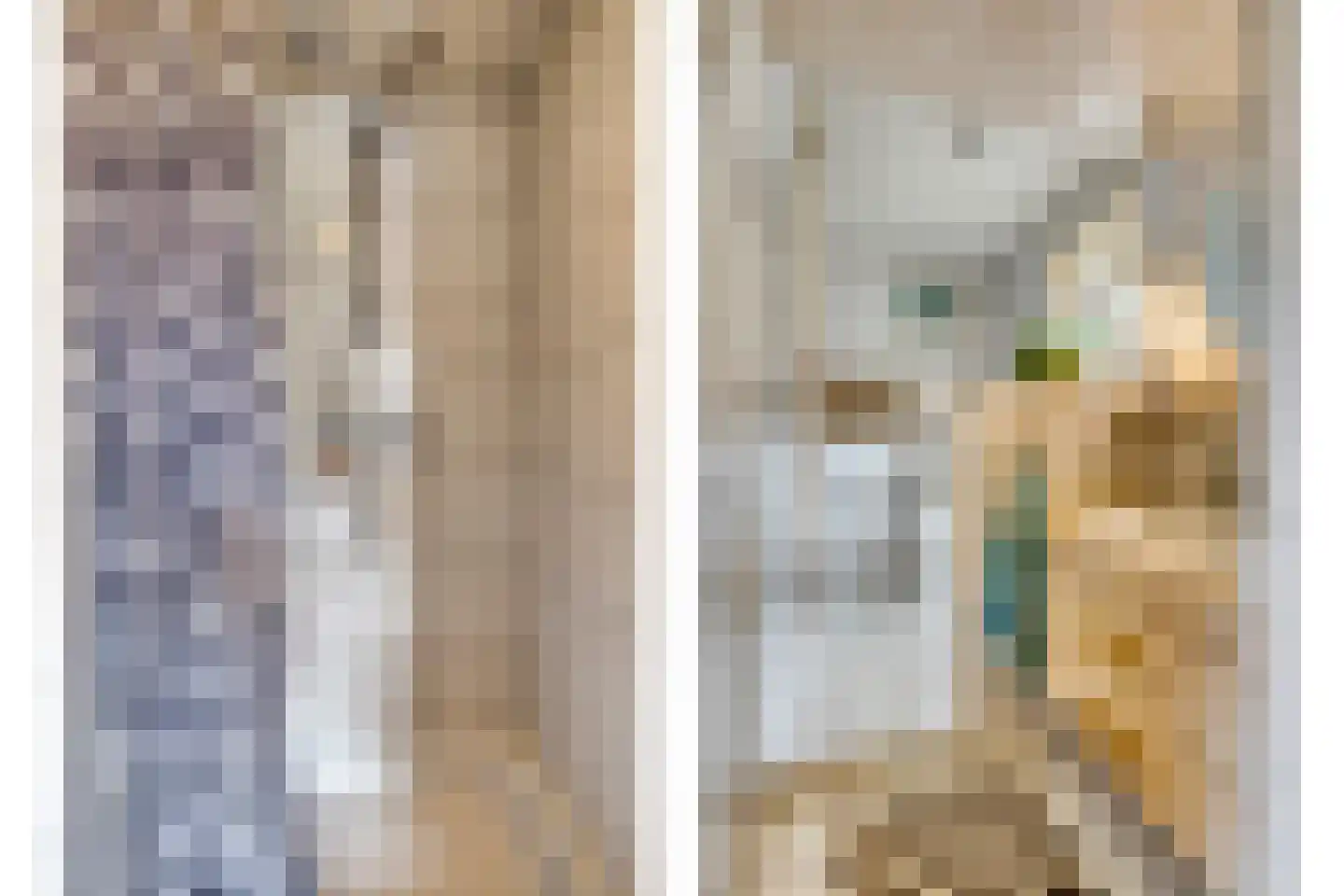 Pastoor Boelensstraat 10 Heesch thumbnail 20