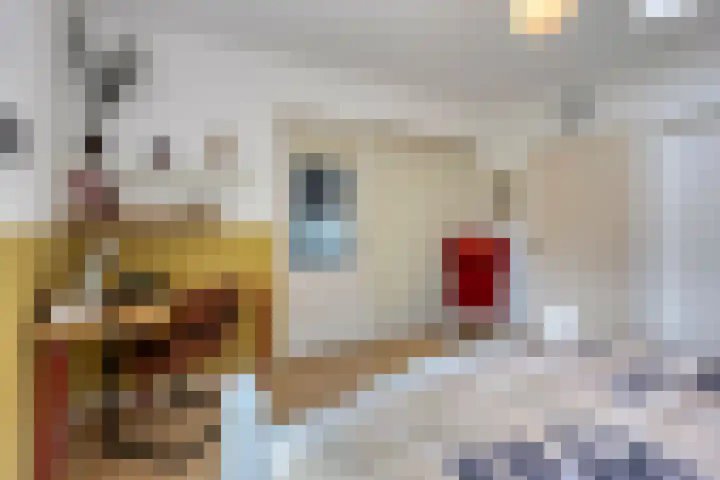 Pastoor Boelensstraat 10 Heesch thumbnail 22