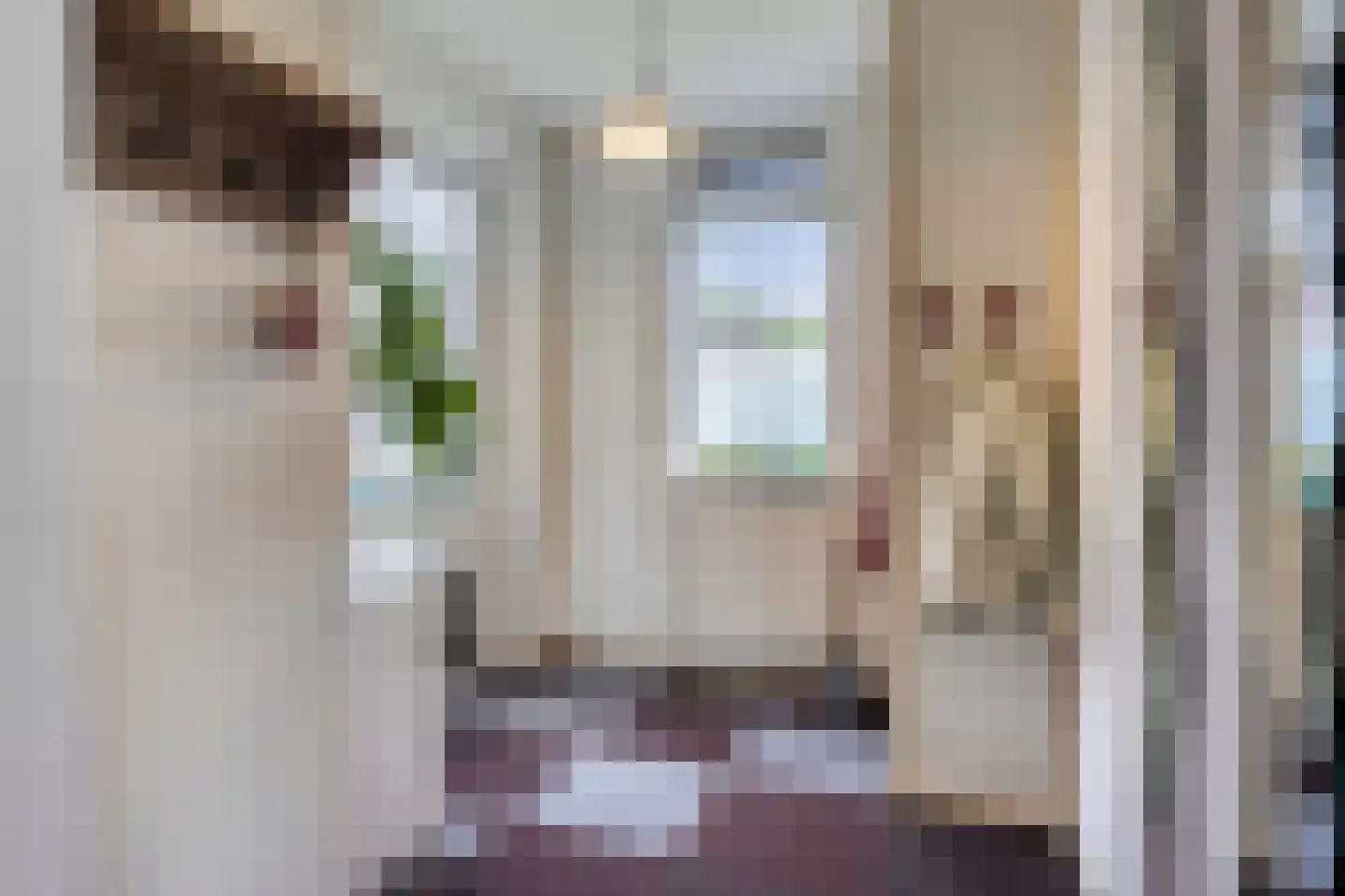 Pastoor Boelensstraat 10 Heesch thumbnail 23