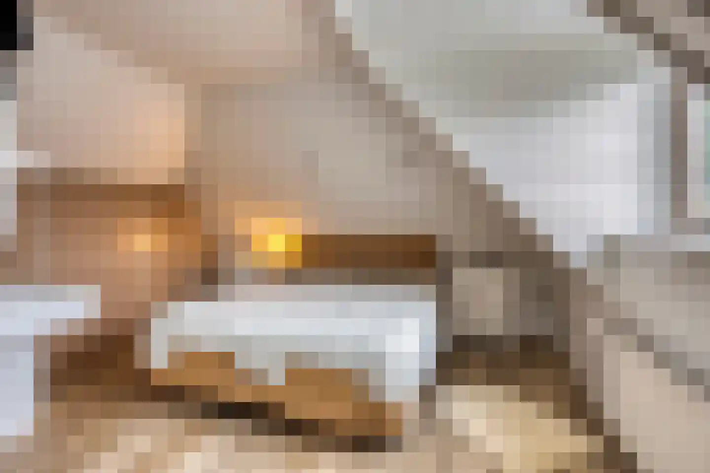 Pastoor Boelensstraat 10 Heesch thumbnail 33