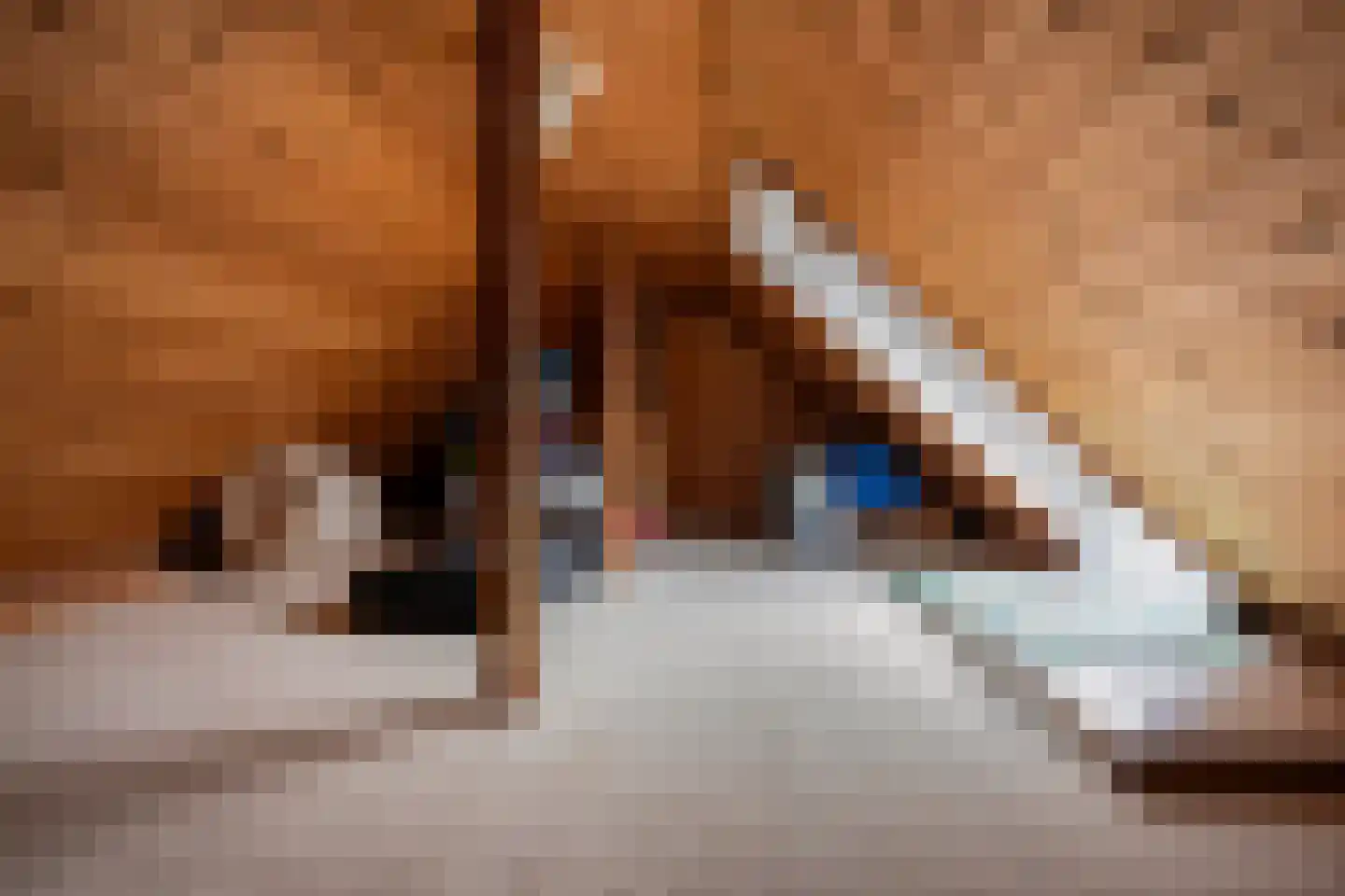 Pastoor Boelensstraat 10 Heesch thumbnail 36