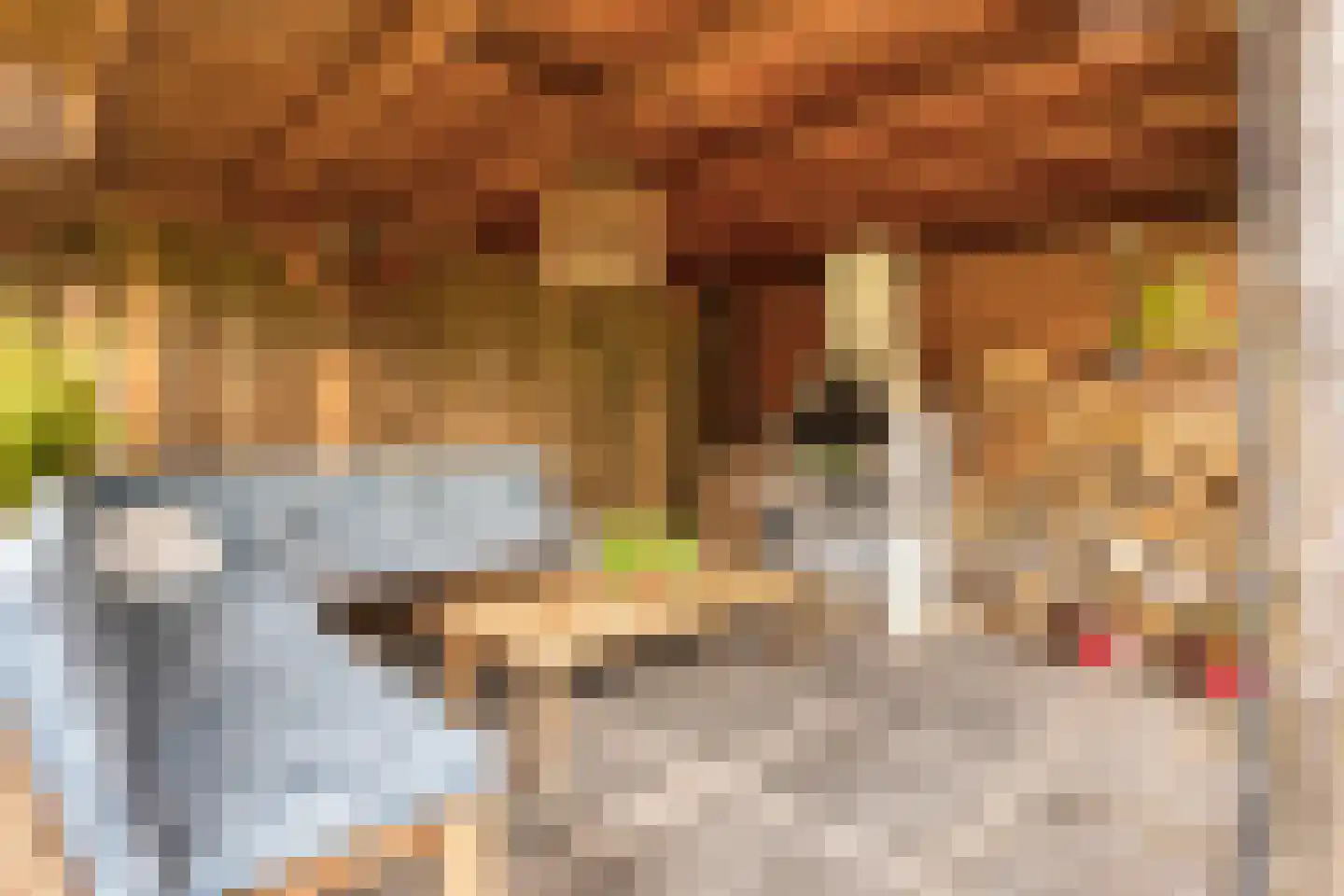 Pastoor Boelensstraat 10 Heesch thumbnail 39