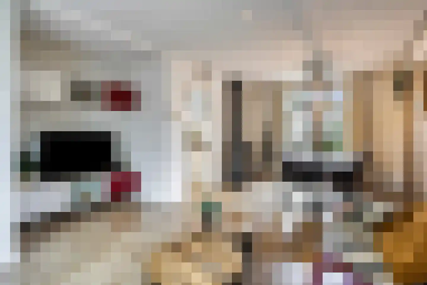 Pastoor Boelensstraat 10 Heesch thumbnail 4