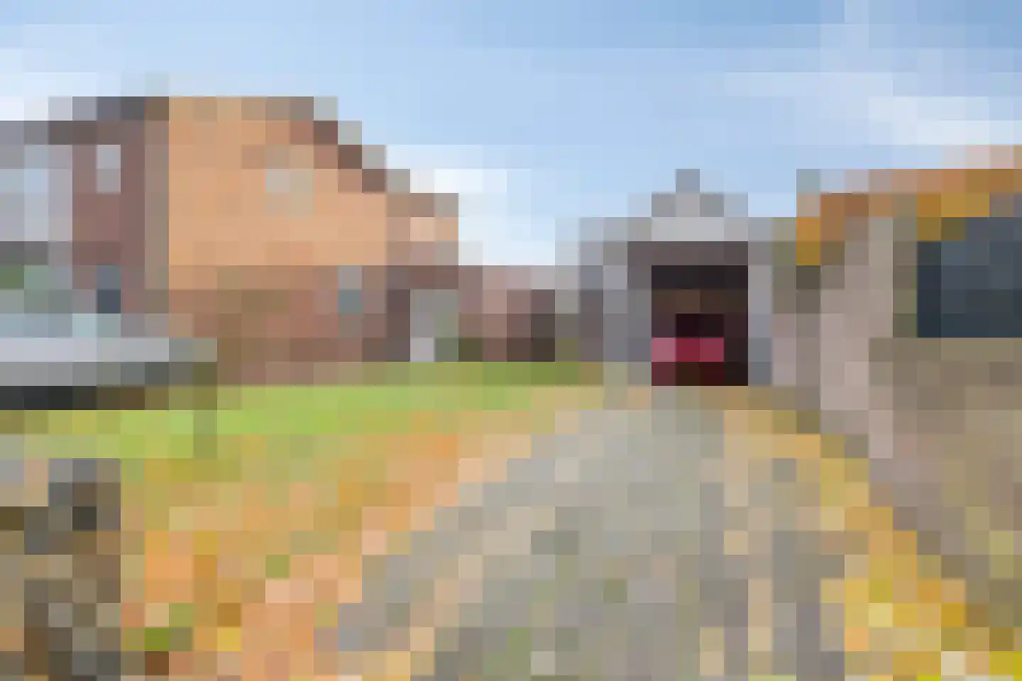Pastoor Boelensstraat 10 Heesch thumbnail 45