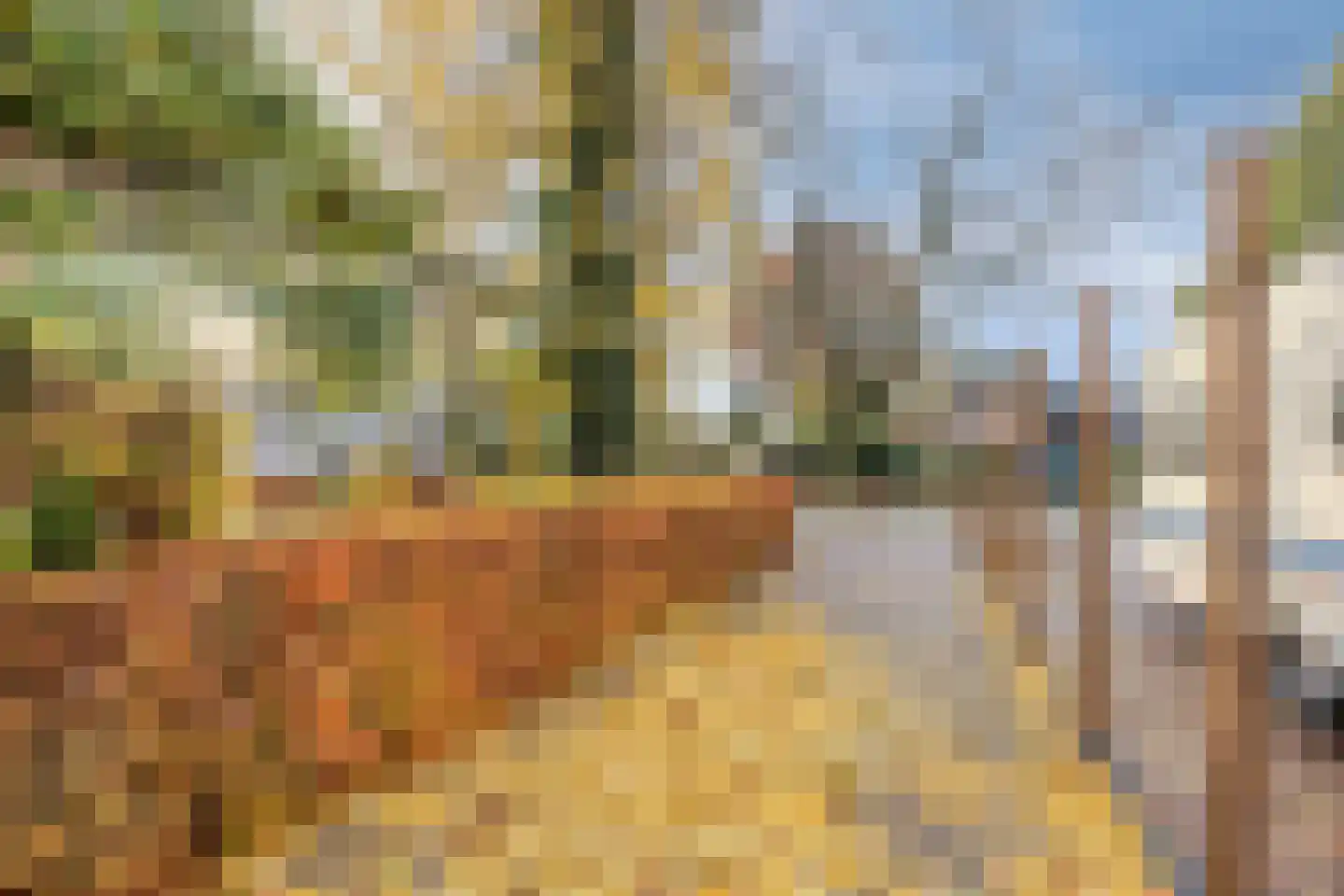Pastoor Boelensstraat 10 Heesch thumbnail 47