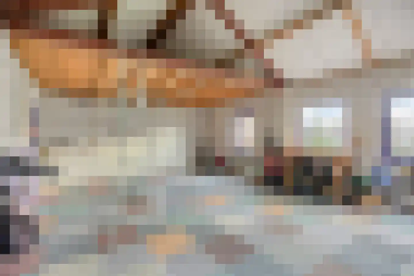 Pastoor Boelensstraat 10 Heesch thumbnail 49