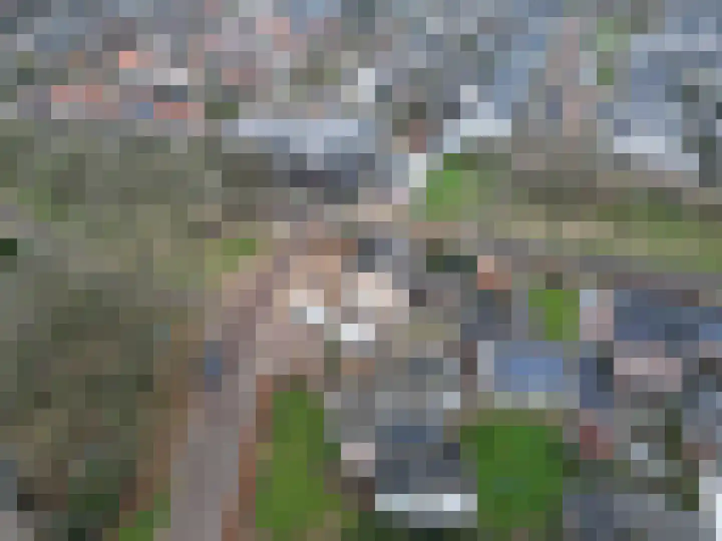 Pastoor Boelensstraat 10 Heesch thumbnail 53