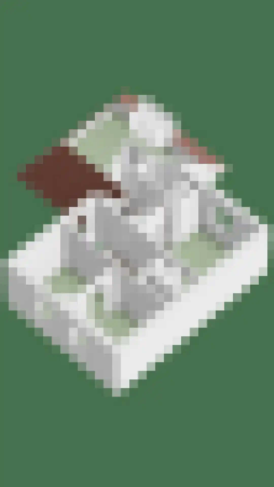 Pastoor Boelensstraat 10 Heesch thumbnail 63