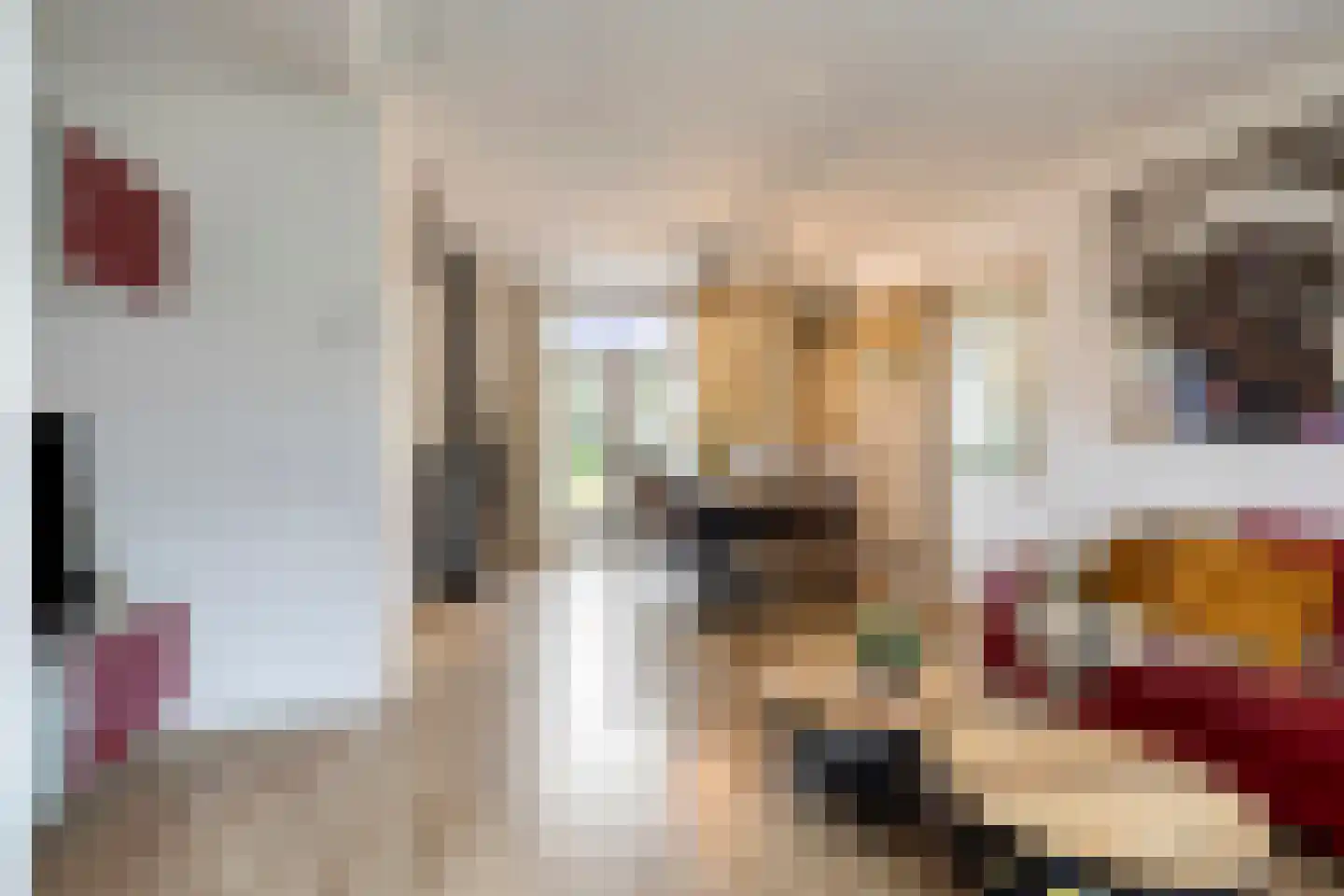 Pastoor Boelensstraat 10 Heesch thumbnail 8