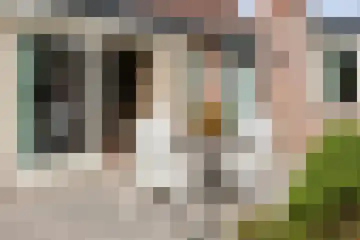 Pastoor Bontestraat 18 Rijsbergen thumbnail 31