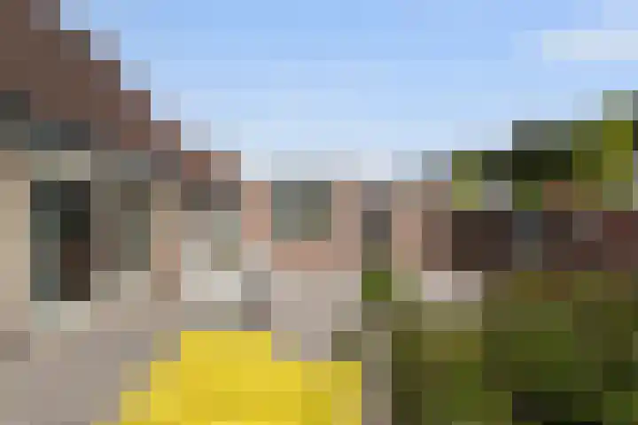 Pastoor Bontestraat 18 Rijsbergen thumbnail 32