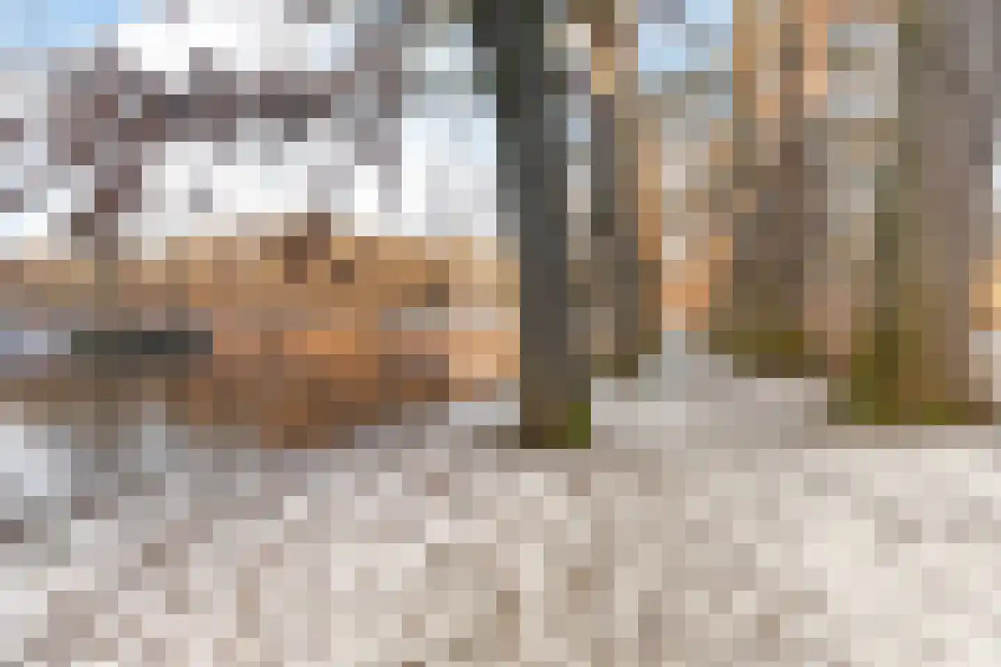 Pastoor Bosstraat 19 Arnhem thumbnail 24