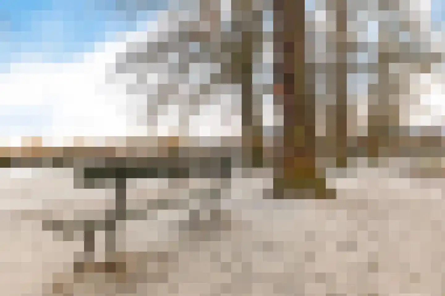 Pastoor Bosstraat 19 Arnhem thumbnail 26