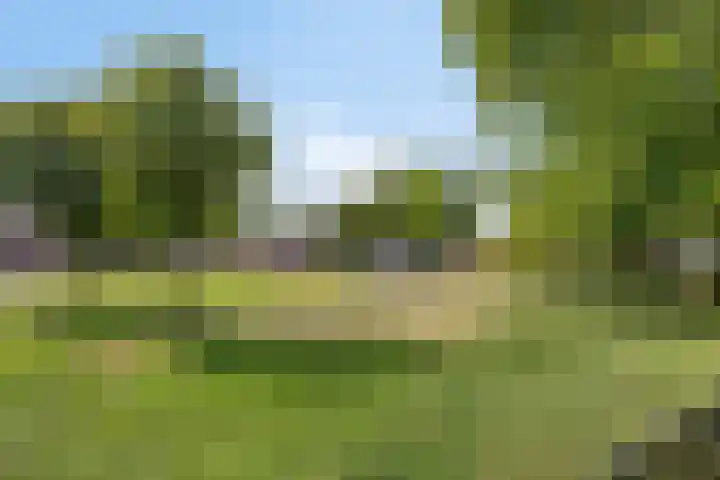Pastoor Bosstraat 46 Arnhem thumbnail 22