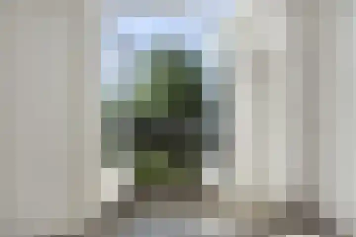 Pastoor Bosstraat 51 Arnhem thumbnail 6