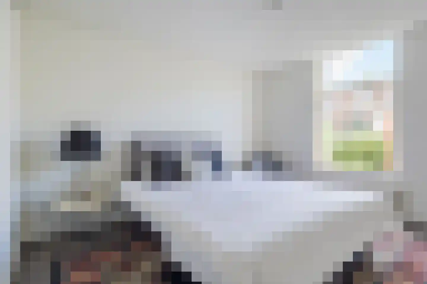Pastoor Bosstraat 52 Arnhem thumbnail 32