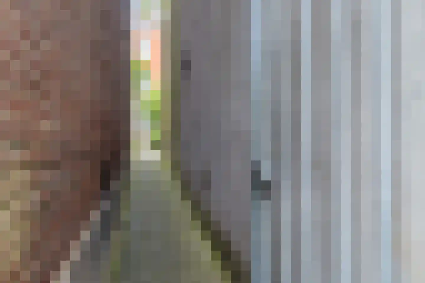 Pastoor Bosstraat 52 Arnhem thumbnail 40