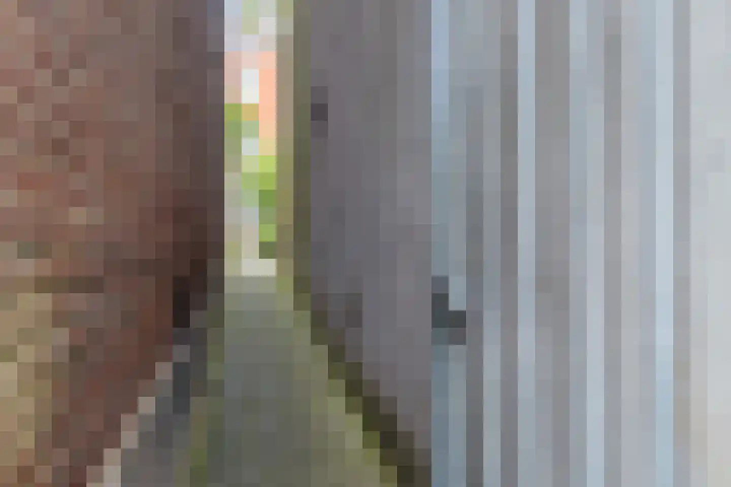 Pastoor Bosstraat 52 Arnhem thumbnail 40