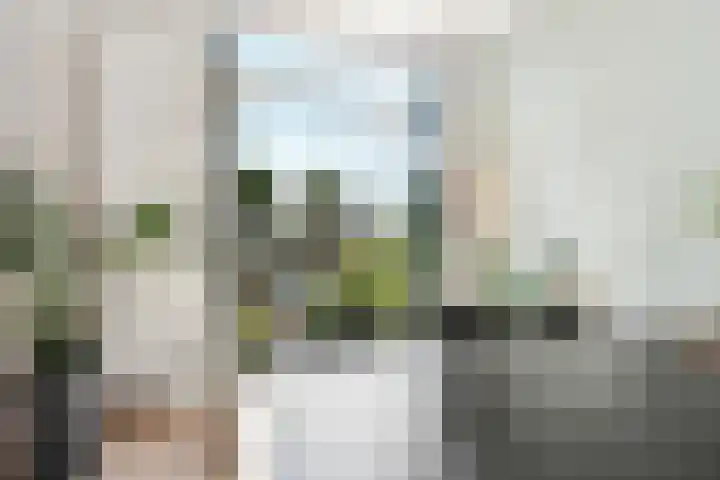 Pastoor Bosstraat 59 Arnhem thumbnail 11