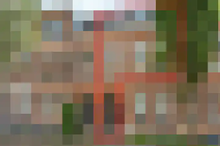 Pastoor Bosstraat 59 Arnhem thumbnail 28