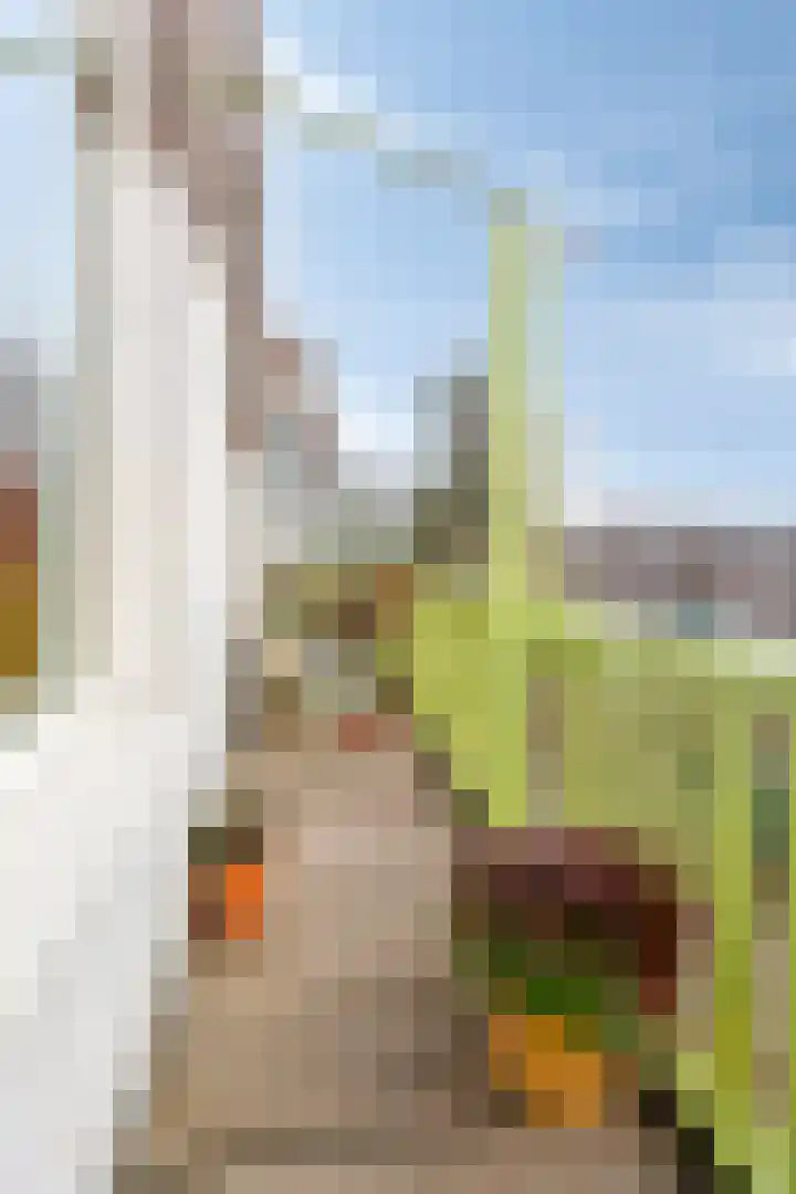 Pastoor Bosstraat 75 Arnhem thumbnail 14