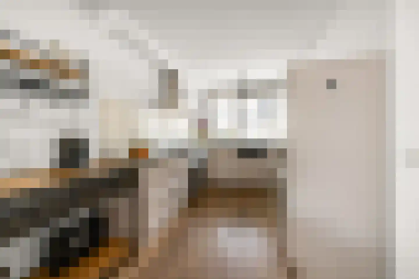 Pastoor Botsstraat 53 Assendelft thumbnail 9