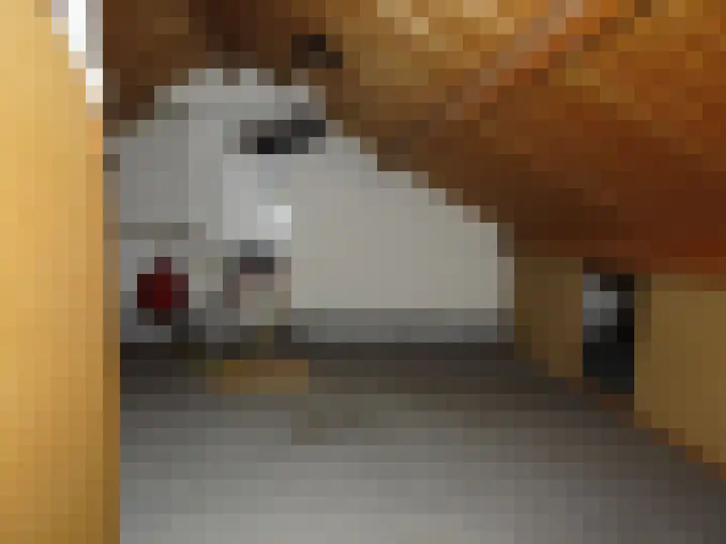 Pastoor Braakstraat 3 Slootdorp thumbnail 20