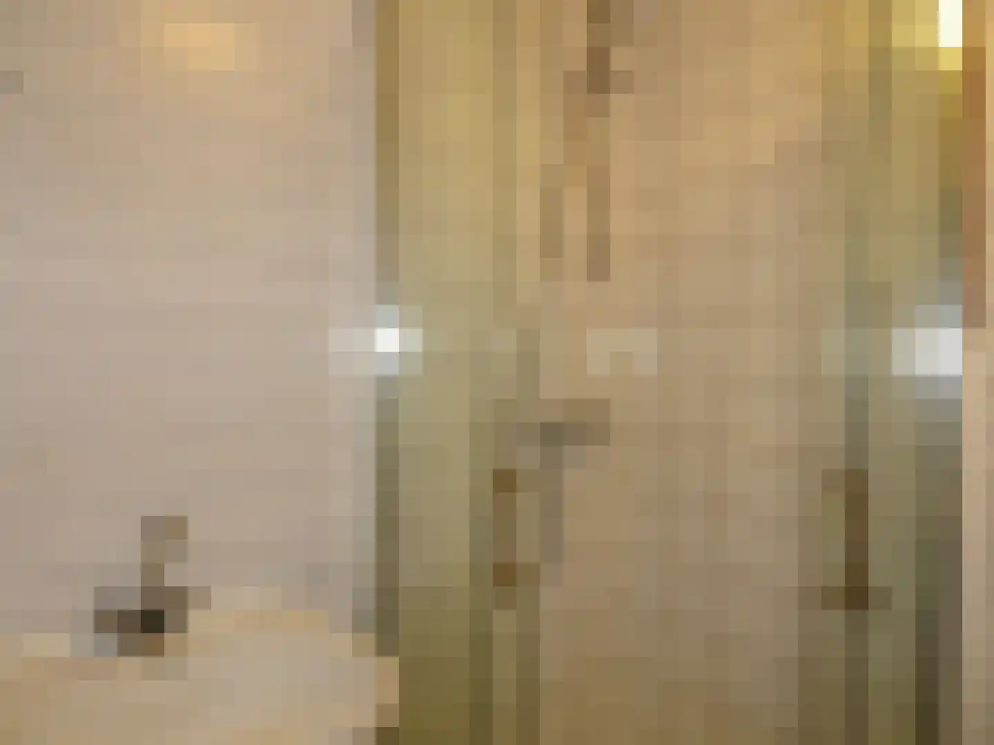 Pastoor Braakstraat 3 Slootdorp thumbnail 4