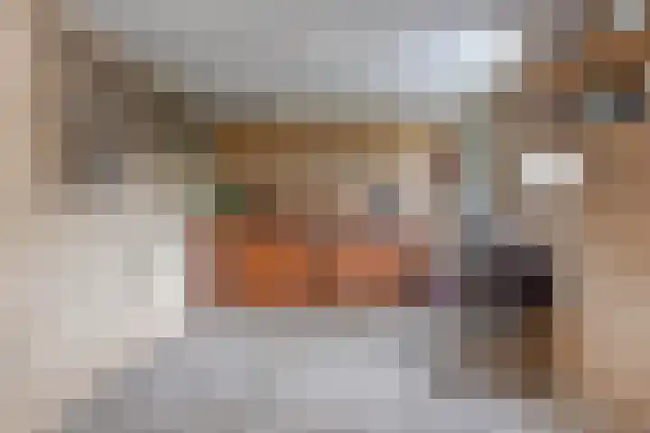 Pastoor Brandsmastraat 4 Haaksbergen thumbnail 17