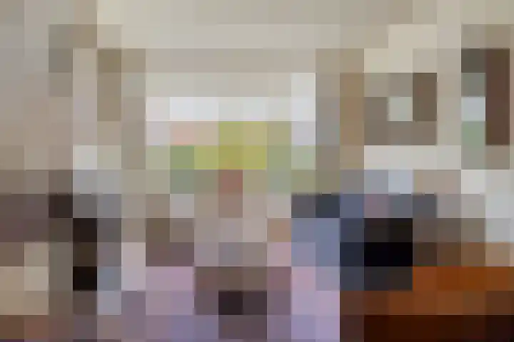 Pastoor Brandsmastraat 4 Haaksbergen thumbnail 7