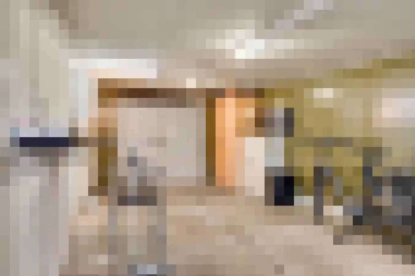 Pastoor Brandstraat 24 Nederweert-Eind thumbnail 33