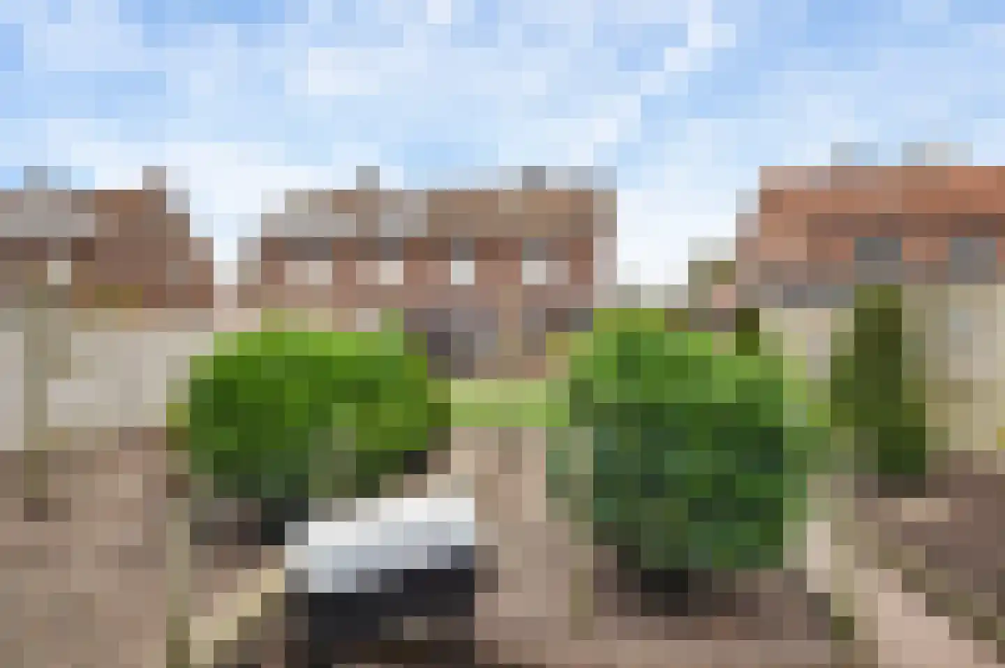 Pastoor Brandstraat 24 Nederweert-Eind thumbnail 39