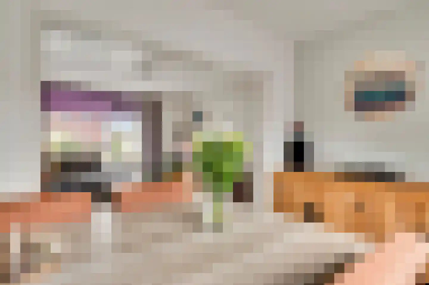 Pastoor Brandstraat 24 Nederweert-Eind thumbnail 4