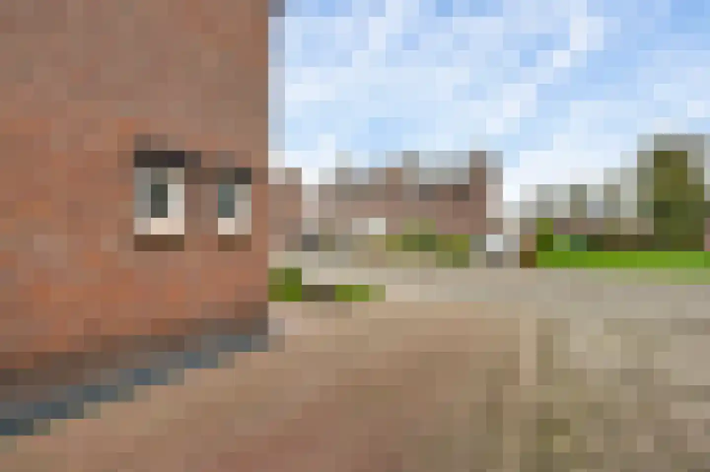 Pastoor Brandstraat 24 Nederweert-Eind thumbnail 41