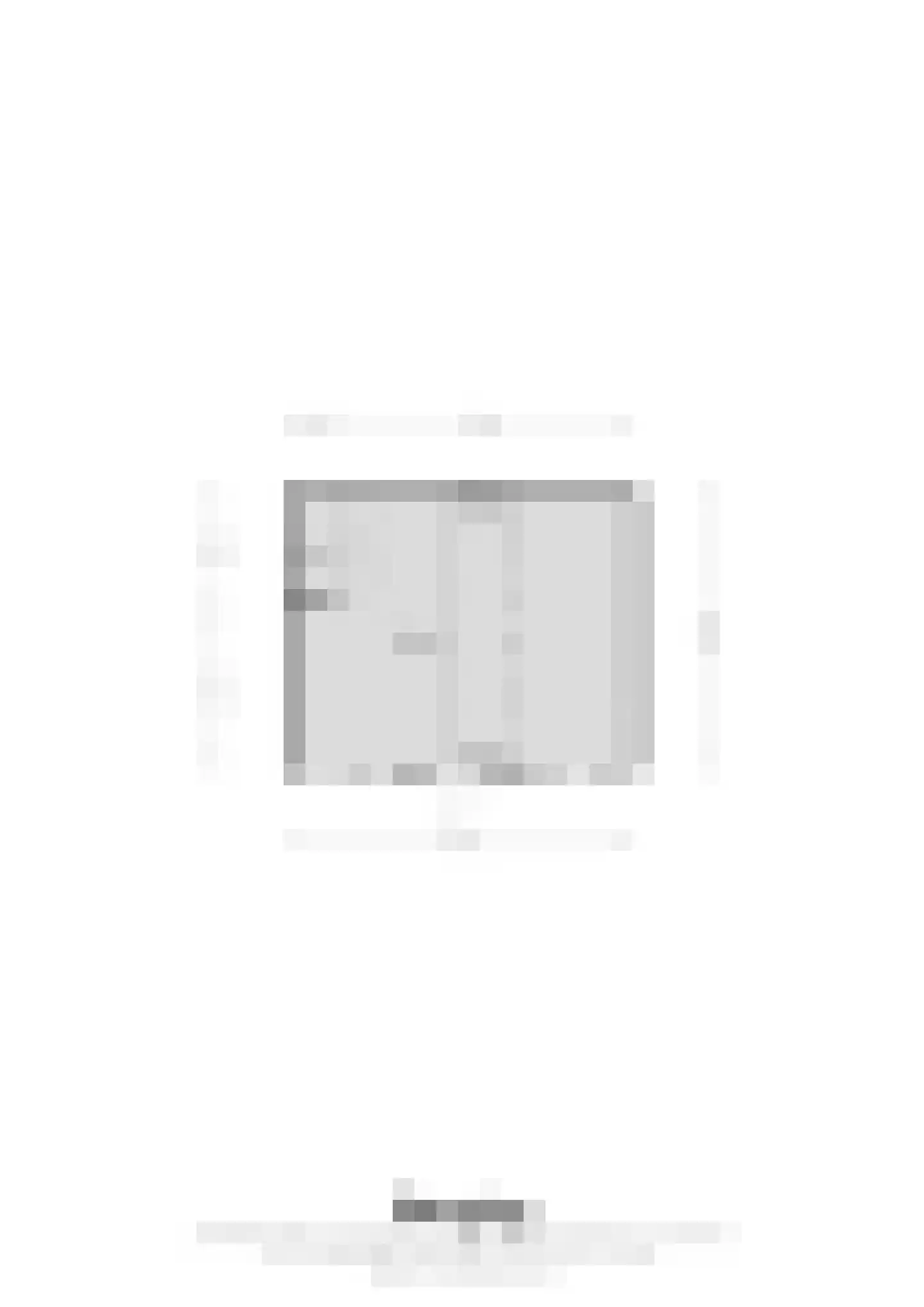 Pastoor Brandstraat 24 Nederweert-Eind thumbnail 48