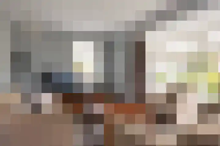 Pastoor Brandtsstraat 7 Lattrop-Breklenkamp thumbnail 12