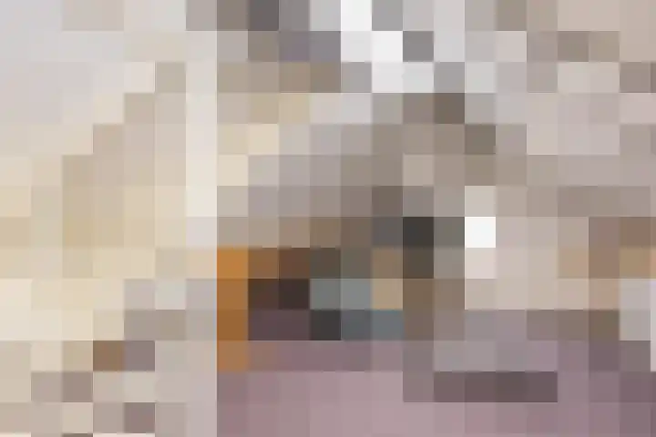 Pastoor Brandtsstraat 7 Lattrop-Breklenkamp thumbnail 25