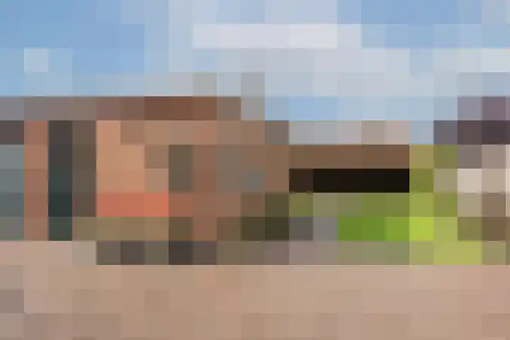 Pastoor Brandtsstraat 7 Lattrop-Breklenkamp thumbnail 28