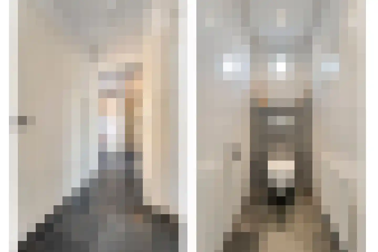 Pastoor Brandtsstraat 9 Lattrop-Breklenkamp thumbnail 12