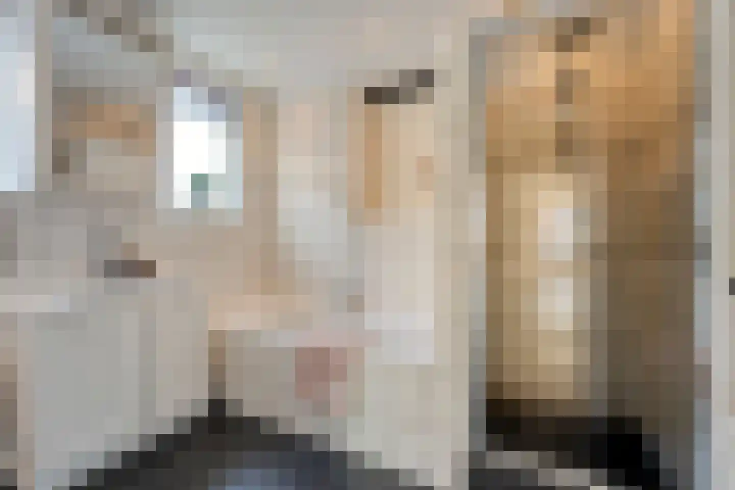 Pastoor Brandtsstraat 9 Lattrop-Breklenkamp thumbnail 13