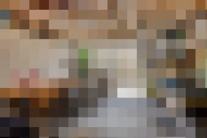 Pastoor Bressersstraat 12 Oosterhout thumbnail 31