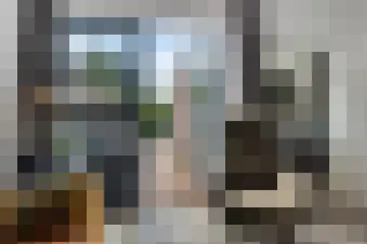 Pastoor Bressersstraat 12 Oosterhout thumbnail 6