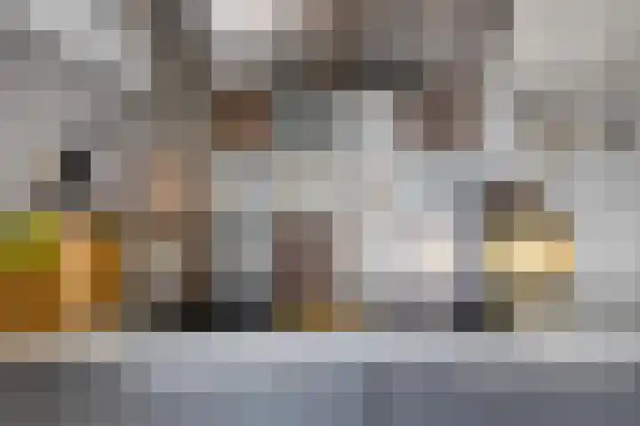 Pastoor Bressersstraat 12 Oosterhout thumbnail 9