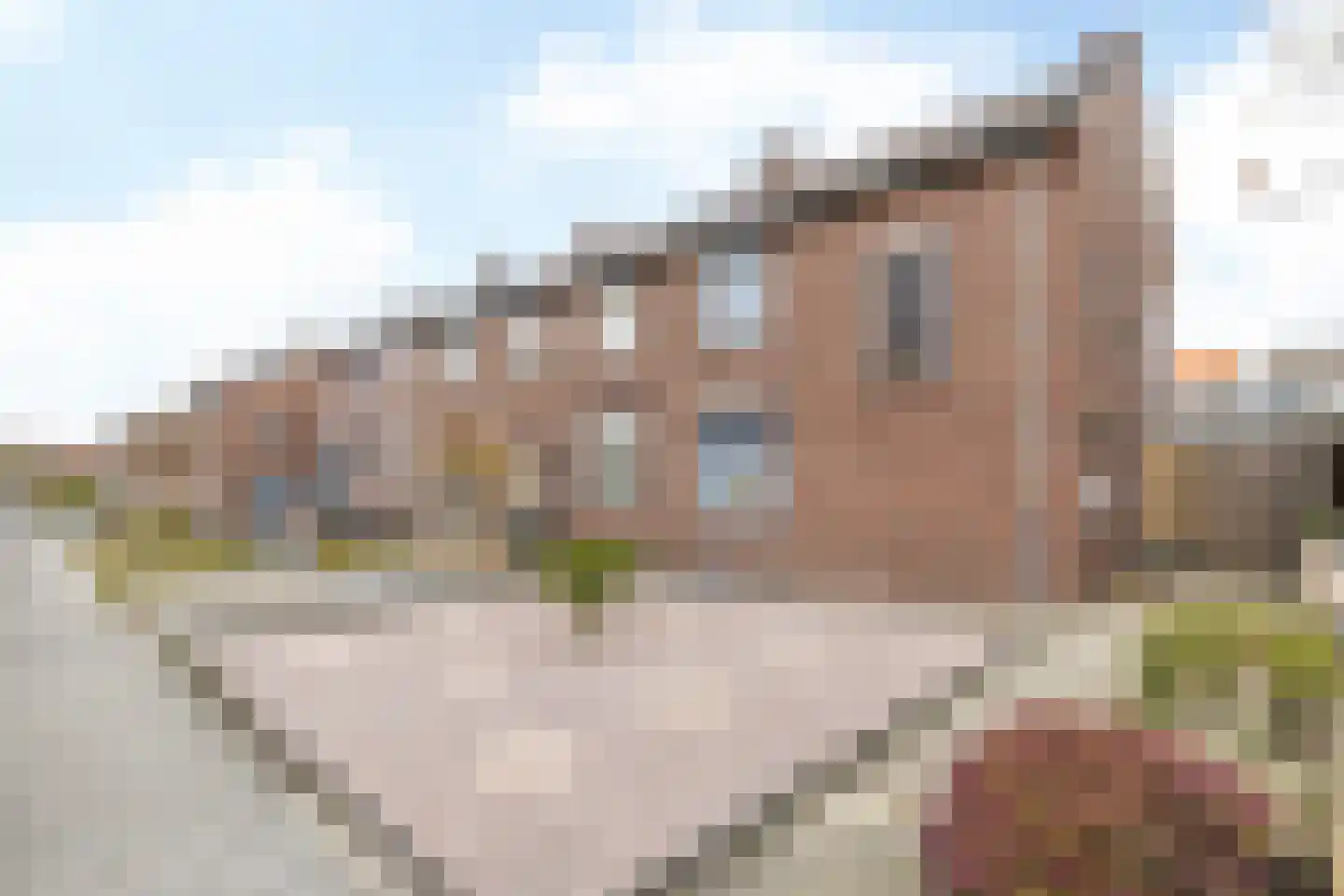 Pastoor Brounsstraat 31 dans Schinveld