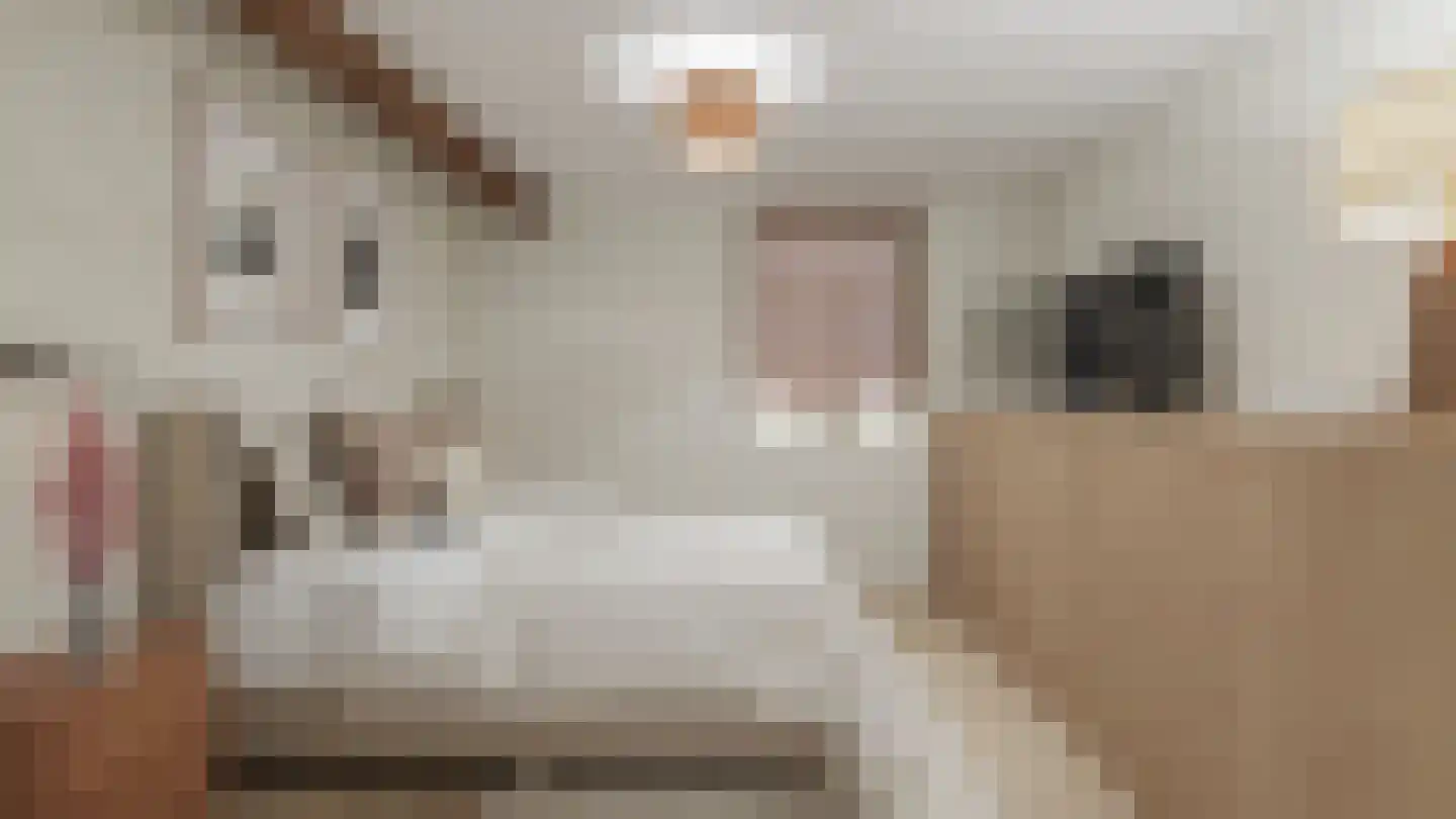 Pastoor Brouwersstraat 3 D Margraten thumbnail 5